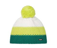 Eisbaer 