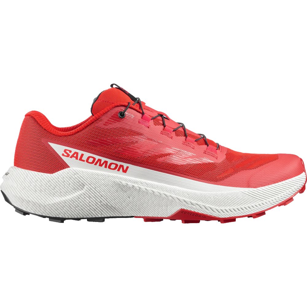 Salomon 