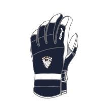 Phenix Powder Snow Gloves Phenix Powder Snow Gloves