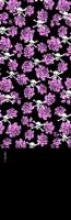 JUNIOR POLAR BUFF ROSES&BONES/BLACK
