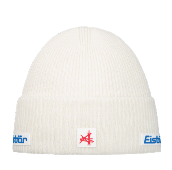 Eisbaer 