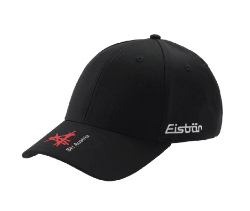 Eisbaer 