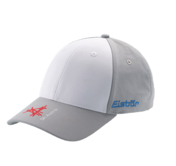 Eisbaer 