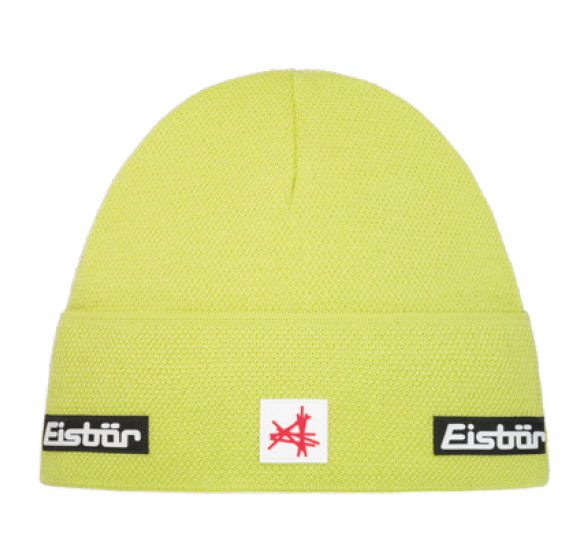 Eisbaer 