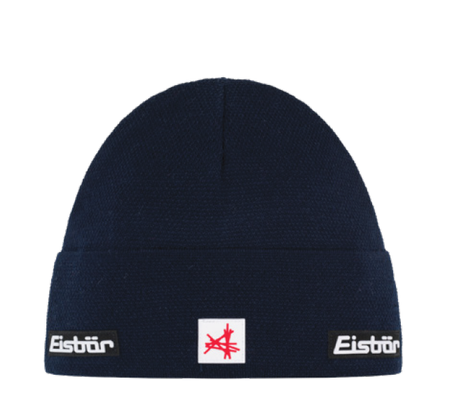 Eisbaer 