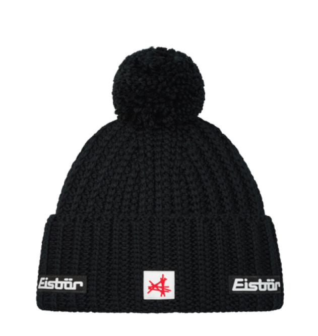 Eisbaer 