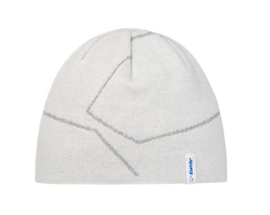 Eisbaer 