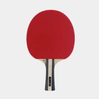Ракетка для настільного тенісу Dunlop D TT BT FLUX