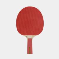 Ракетка для настільного тенісу Dunlop D TT BT NITRO