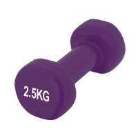 Гантелі Powerplay Гантель вінілова 2*2,5кг