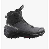 Черевики Salomon CROSSTRAK POWDER WP A