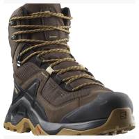 Черевики Salomon QUEST ELEMENT GTX Del