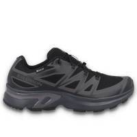 Кросівки Salomon XT-EVR GTX W Black/As
