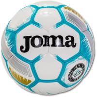 Футбольні м'ячі Select Joma EGEO