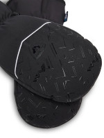 Rossignol 