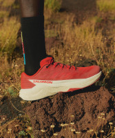 Salomon 